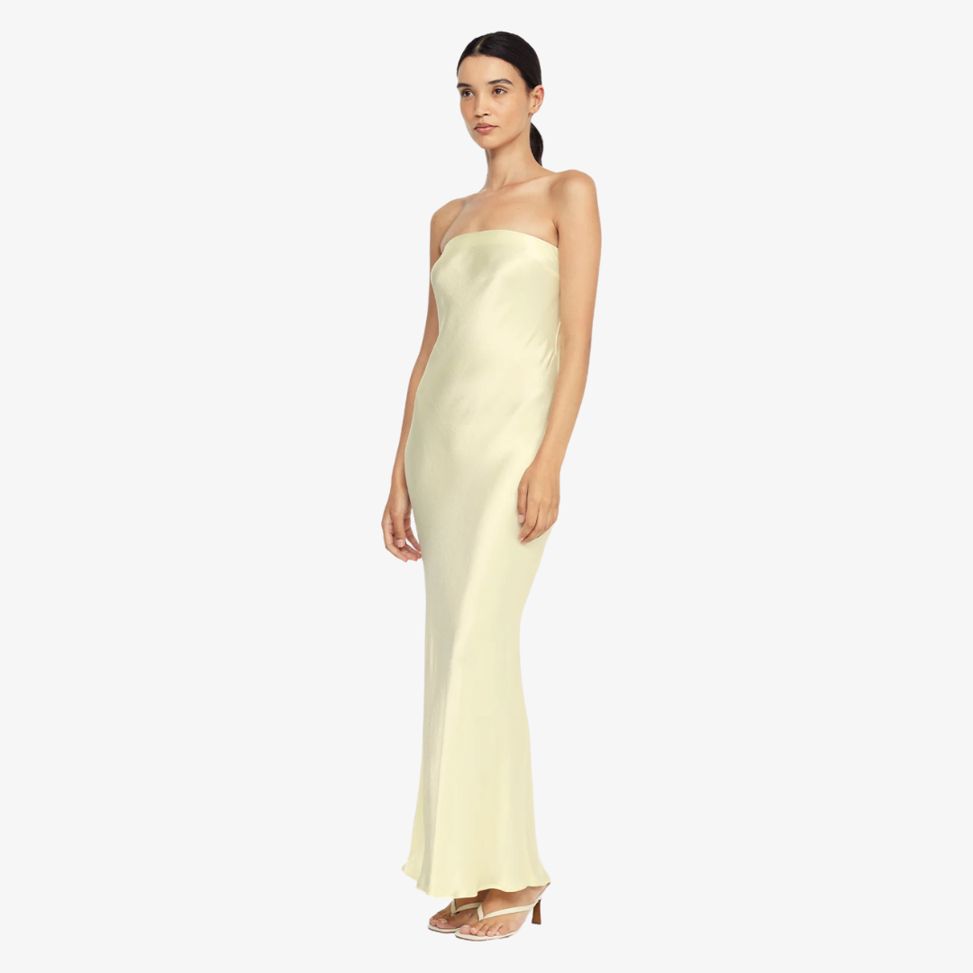 BEC AND BRIDGEMOON DANCE DRESS