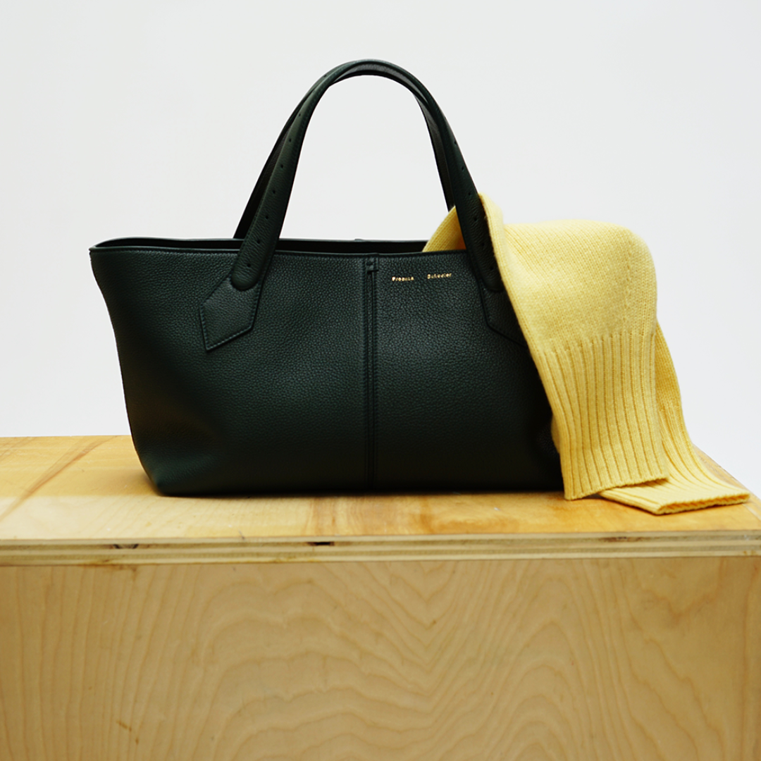 PROENZA SCHOULER EAST WEST BAG